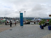 SANY0146.JPG