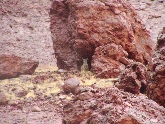 SANY0053.JPG