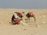 SANY0411.JPG