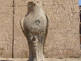 P1020834.JPG