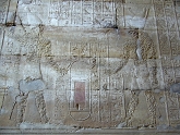 P1020810.JPG