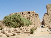 SANY0011.JPG