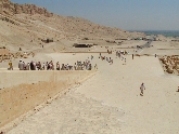 SANY0169.JPG