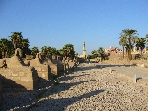 P1020670.JPG