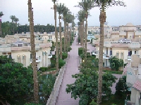 P1030200.JPG